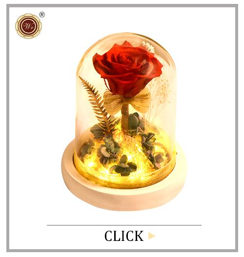 亚马逊热卖红玫瑰人造花永远玫瑰与玻璃圆顶为情人节礼物的 led灯