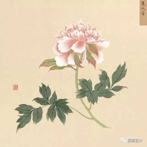故宫馆藏精品 蒋廷锡 牡丹十六种 图册欣赏